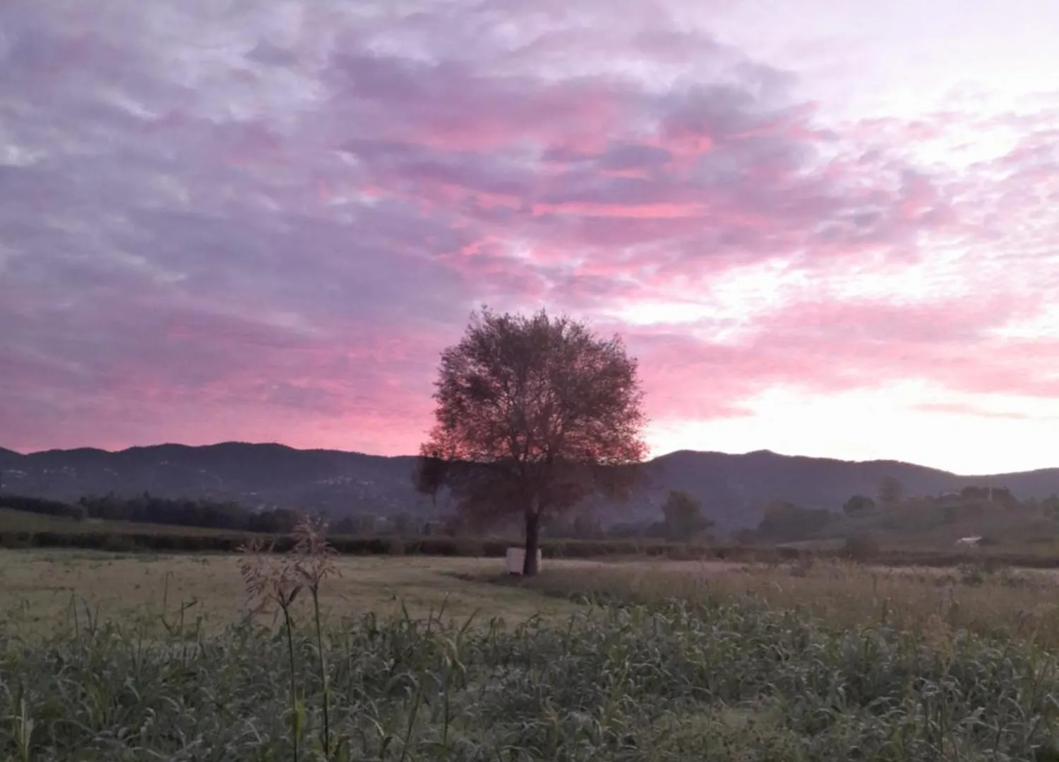 Nyaraló Il Cottage Di Leonardo A Vinci