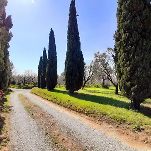  Casa vacanze Il Palagio