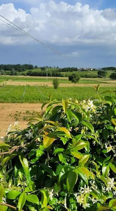 Il Cottage Di Leonardo A Vinci 0*,  Italy