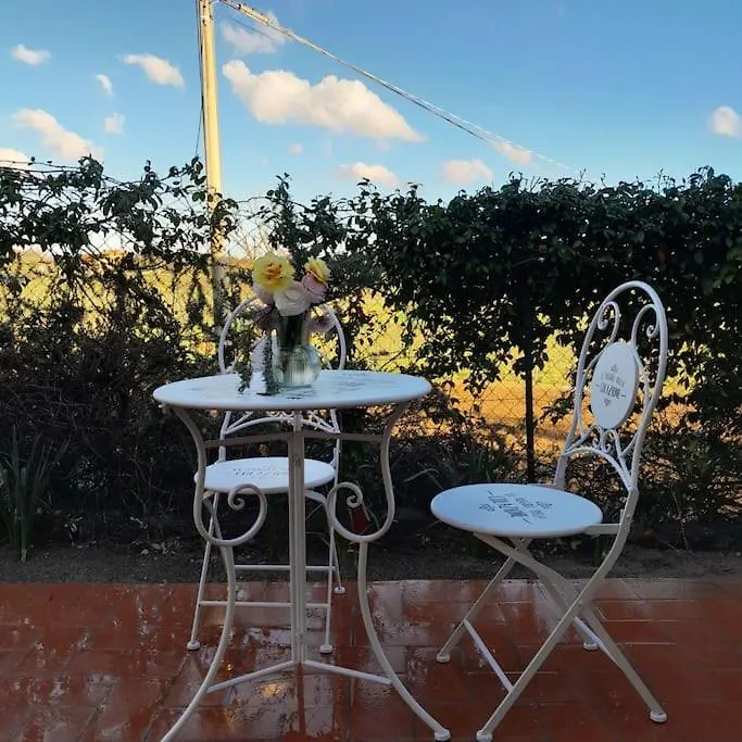 Holiday home Il Cottage Di Leonardo A Vinci